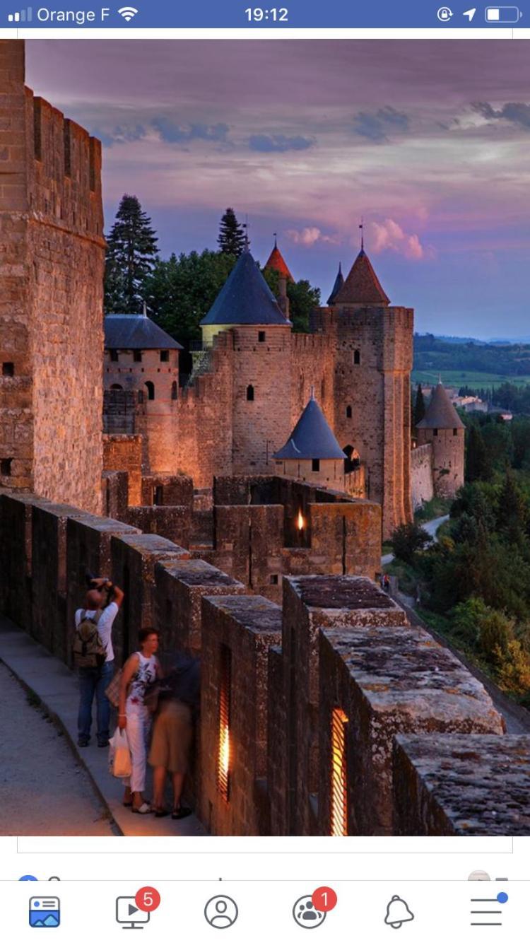 L'Orée de la cité Carcasona Exterior foto