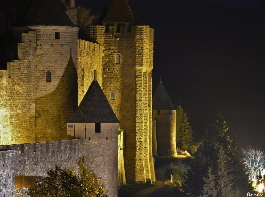 L'Orée de la cité Carcasona Exterior foto